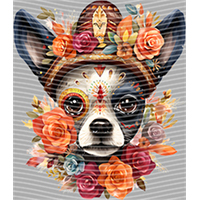 Animal Integration-DW 563